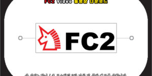 fc2 video 동영상 다운로드 방법