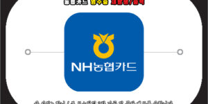 농협카드 영수증 재발행