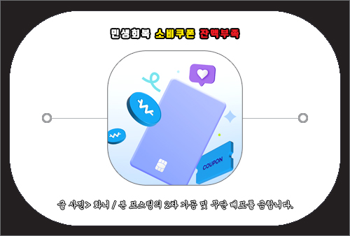 민생회복 소비쿠폰 잔액부족