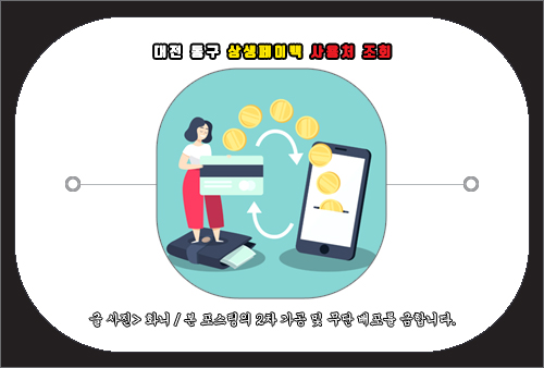 대전 동구 상생페이백 사용처 조회