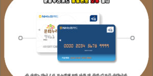 문화누리카드 비밀번호 오류 정지