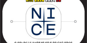 nice 결제대행 결제내역