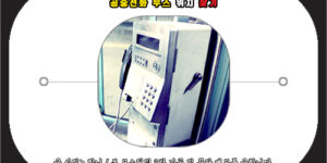 공중전화 번호 위치 조회